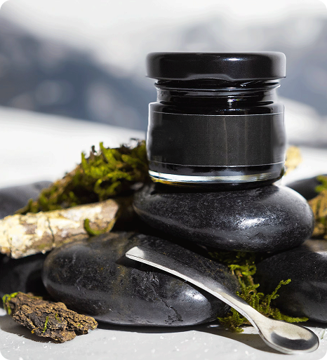 About Shilajit